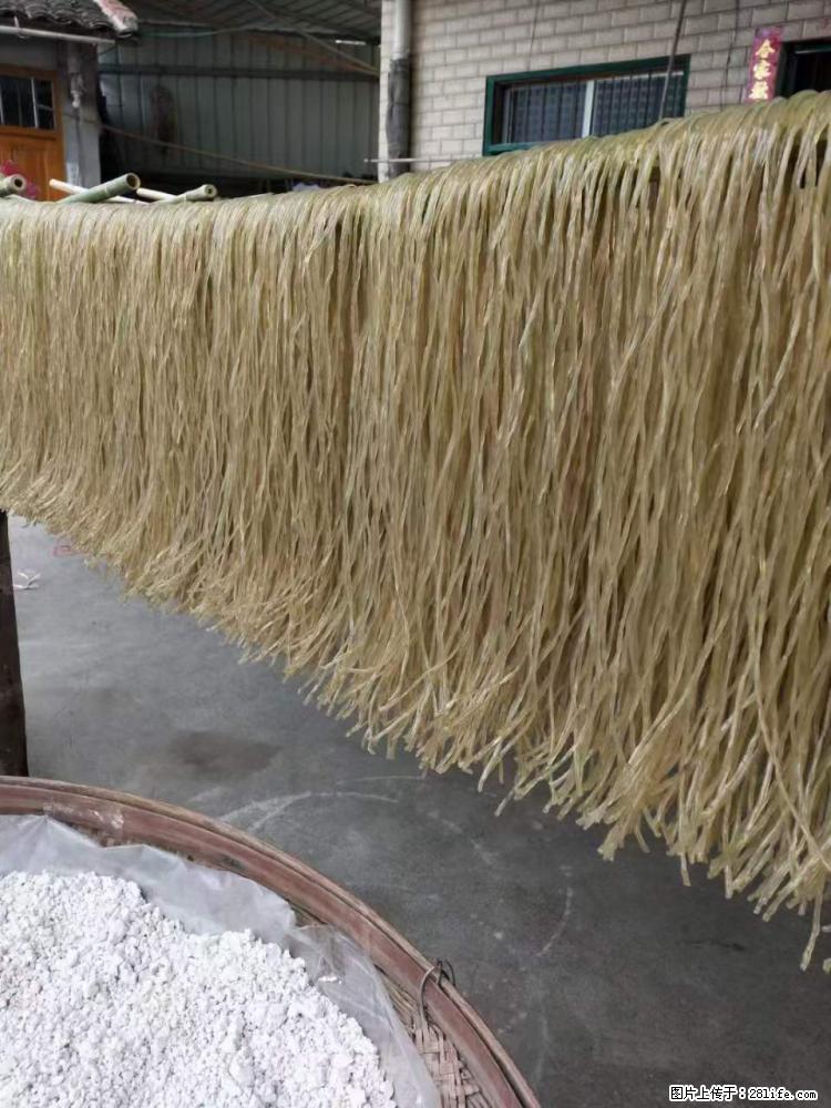 【灌阳正宗红薯粉】美女家里自己做的，干净卫生，假一赔十，价格合理，抢购电话：13737312895 - 美食天地 - 雅安生活社区 - 雅安28生活网 ya.28life.net