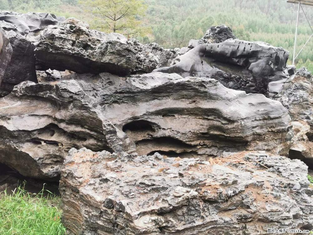 风景石、假山石大量有货，有需要的欢迎联系 - 新手上路 - 雅安生活社区 - 雅安28生活网 ya.28life.net