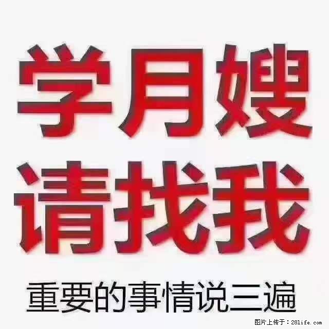 为什么要学习月嫂，育婴师？ - 新手上路 - 雅安生活社区 - 雅安28生活网 ya.28life.net