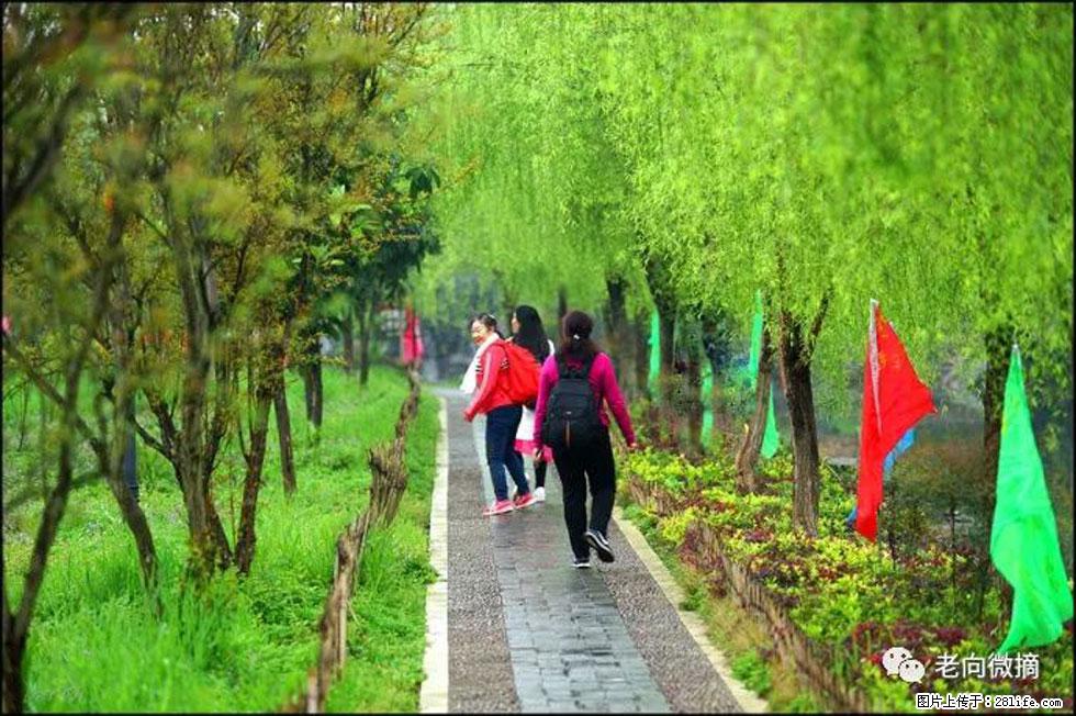 【春天，广西桂林灌阳县向您发出邀请！】江口老街又逢春 - 游山玩水 - 雅安生活社区 - 雅安28生活网 ya.28life.net