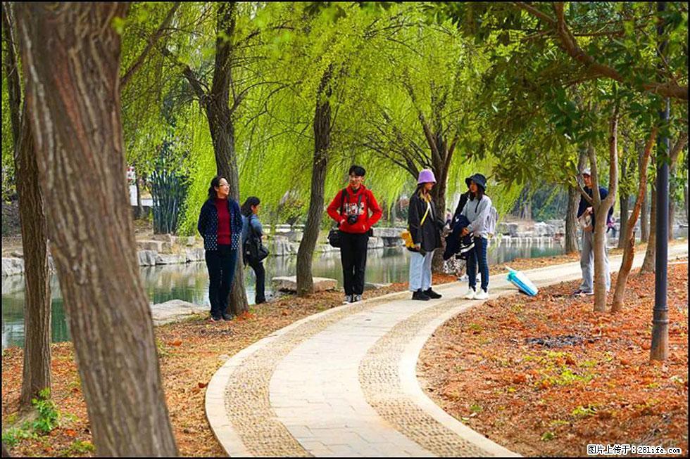 【春天，广西桂林灌阳县向您发出邀请！】江口老街又逢春 - 游山玩水 - 雅安生活社区 - 雅安28生活网 ya.28life.net