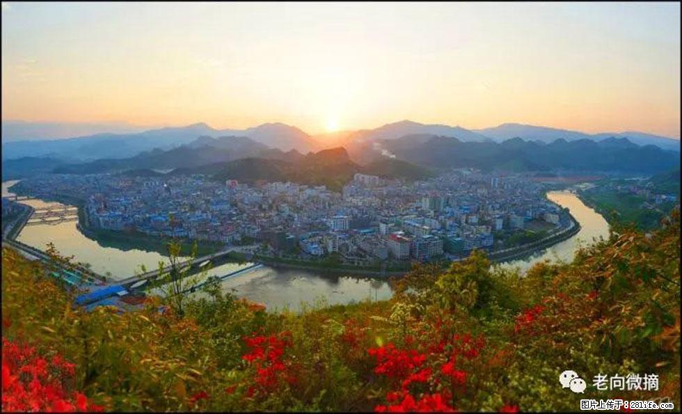 【春天，广西桂林灌阳县向您发出邀请！】登麒麟山，相约映山红 - 游山玩水 - 雅安生活社区 - 雅安28生活网 ya.28life.net