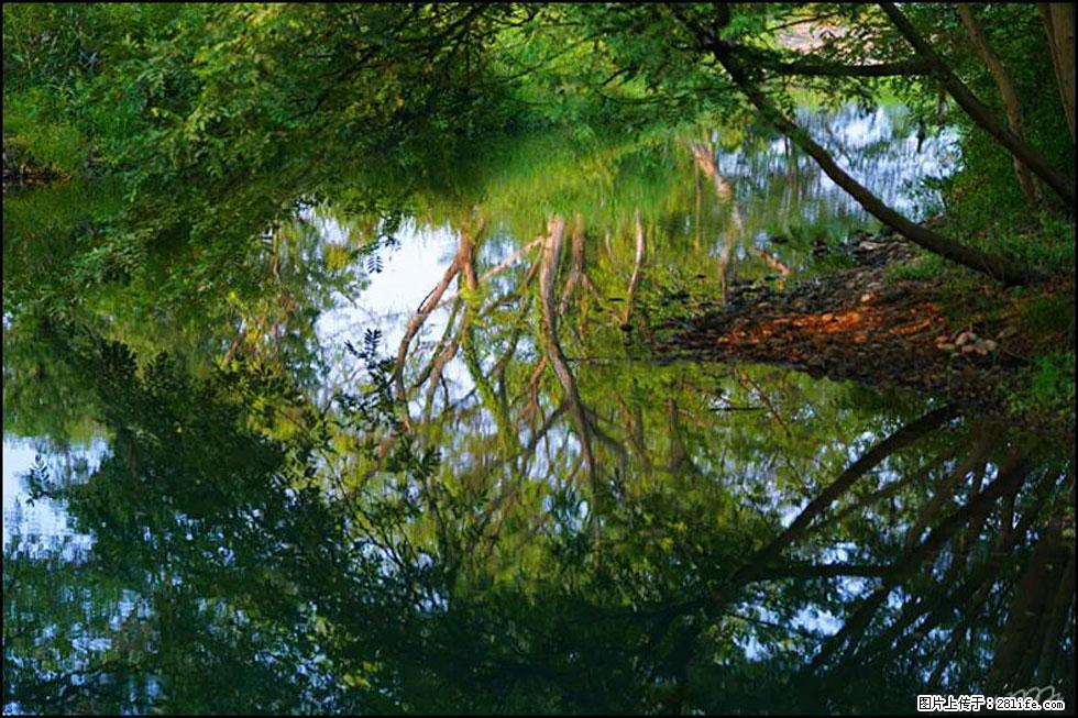 【春天，广西桂林灌阳县向您发出邀请！】熊家寨湿地公园 - 游山玩水 - 雅安生活社区 - 雅安28生活网 ya.28life.net