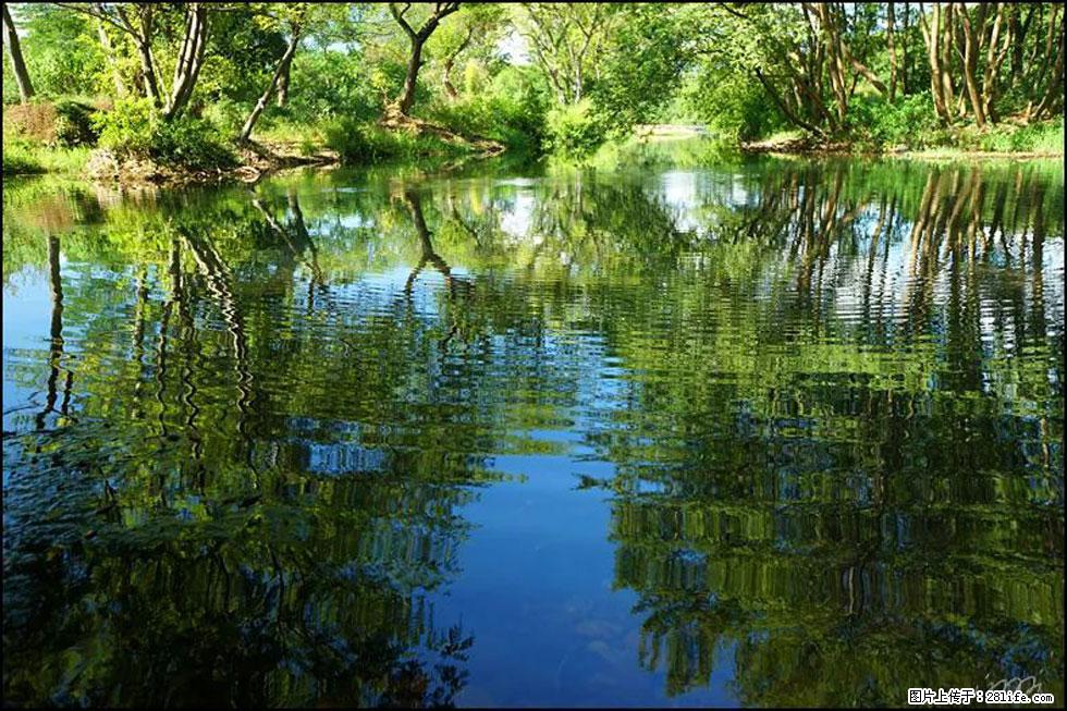 【春天，广西桂林灌阳县向您发出邀请！】熊家寨湿地公园 - 游山玩水 - 雅安生活社区 - 雅安28生活网 ya.28life.net