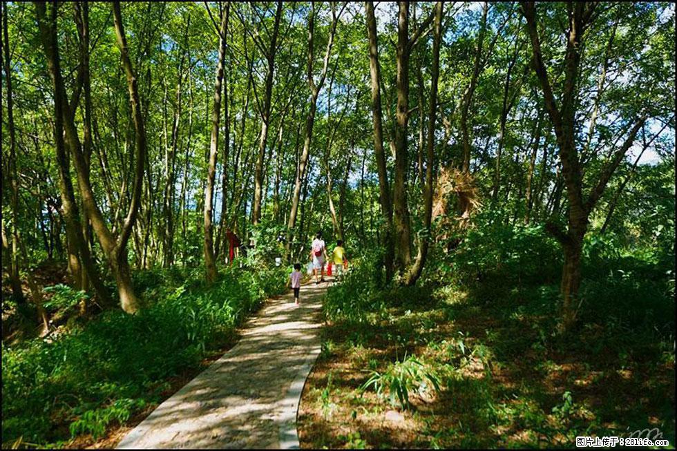 【春天，广西桂林灌阳县向您发出邀请！】熊家寨湿地公园 - 游山玩水 - 雅安生活社区 - 雅安28生活网 ya.28life.net