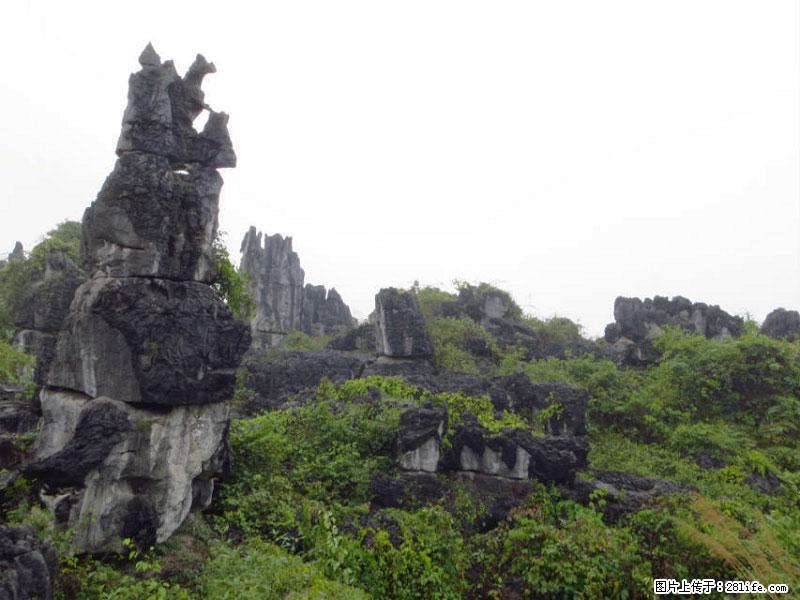 桂林旅游名城景点：灌阳文市石林 - 游山玩水 - 雅安生活社区 - 雅安28生活网 ya.28life.net