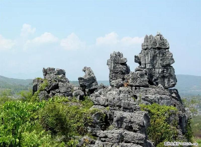 桂林旅游名城景点：灌阳文市石林 - 游山玩水 - 雅安生活社区 - 雅安28生活网 ya.28life.net
