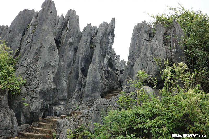 桂林旅游名城景点：灌阳文市石林 - 游山玩水 - 雅安生活社区 - 雅安28生活网 ya.28life.net