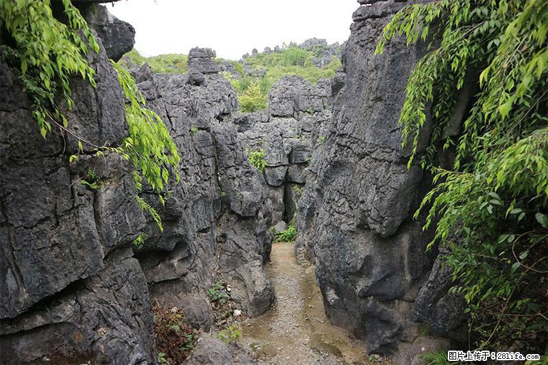桂林旅游名城景点：灌阳文市石林 - 游山玩水 - 雅安生活社区 - 雅安28生活网 ya.28life.net