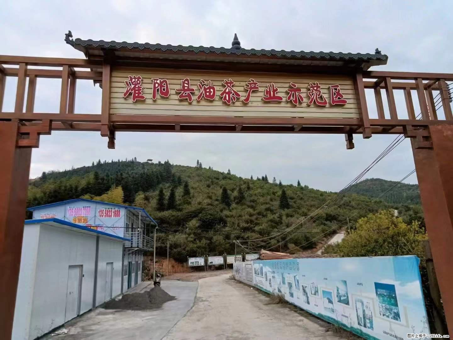 【灌阳县油茶产业示范区】一个有着充实的精神生活的人，对待身外之物自会有一种淡泊的态度 - 土特产 - 饮食特产 - 雅安分类信息 - 雅安28生活网 ya.28life.net