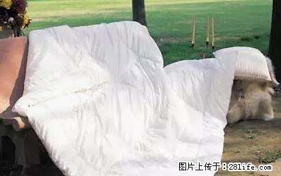 被子有异味？只要这样做，比晒太阳还强100倍！ - 家居生活 - 雅安生活社区 - 雅安28生活网 ya.28life.net