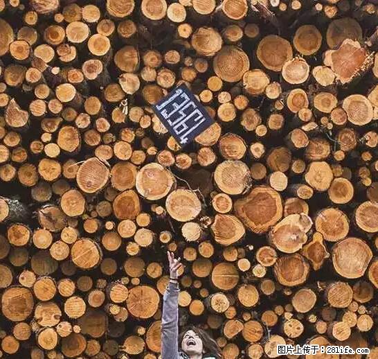 辞掉工作周游世界？现在他们在洗厕所…… - 游山玩水 - 雅安生活社区 - 雅安28生活网 ya.28life.net