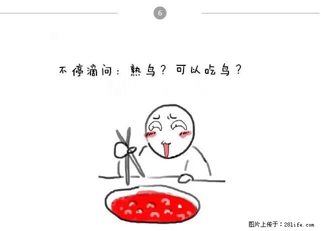 千万不要和这9种哈卵一起吃火锅！ - 美食天地 - 雅安生活社区 - 雅安28生活网 ya.28life.net