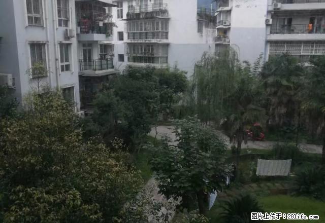 旅游车站附近套一押一付一出租 - 房屋出租 - 房屋租售 - 雅安分类信息 - 雅安28生活网 ya.28life.net