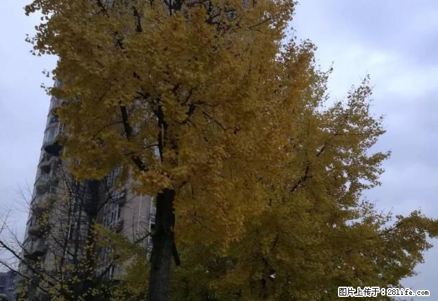 上坝路单位房套二精装修家具家电空调诚意出租 - 房屋出租 - 房屋租售 - 雅安分类信息 - 雅安28生活网 ya.28life.net