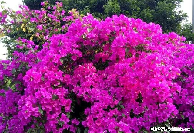 雨城卫校附近 1室1厅48平米 简单装修 押一付三 - 房屋出租 - 房屋租售 - 雅安分类信息 - 雅安28生活网 ya.28life.net