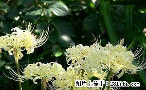 雨城川农新校区 1室0厅40平米 简单装修 押一付一 - 雅安28生活网 ya.28life.net