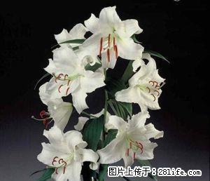 雨城中大街 1室1厅58平米 简单装修 押一付三 - 雅安28生活网 ya.28life.net