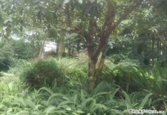 山水豪庭套二精装修住房出租 - 房屋出租 - 房屋租售 - 雅安分类信息 - 雅安28生活网 ya.28life.net