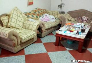 南二路111简装500一个月可以短租可以月租 - 雅安28生活网 ya.28life.net