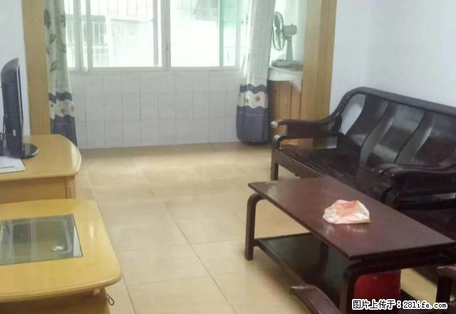 大北街2室1厅1厨1卫装修 家具 家电 - 房屋出租 - 房屋租售 - 雅安分类信息 - 雅安28生活网 ya.28life.net
