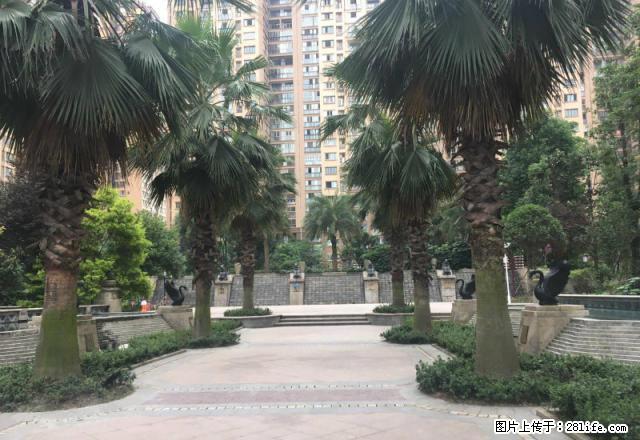 上海城精装套二出租,价格合理 - 房屋出租 - 房屋租售 - 雅安分类信息 - 雅安28生活网 ya.28life.net