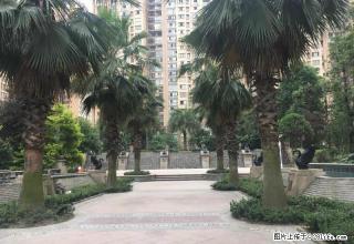 上海城精装套二出租，价格合理 - 雅安28生活网 ya.28life.net