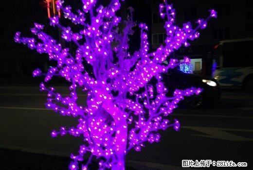 雨城 全雨城 西门车站附近押一付一 1室 - 房屋出租 - 房屋租售 - 雅安分类信息 - 雅安28生活网 ya.28life.net