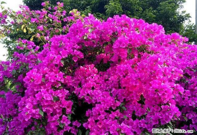 西门车站 1室0厅1卫 - 房屋出租 - 房屋租售 - 雅安分类信息 - 雅安28生活网 ya.28life.net