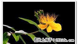 卫校附近押一付一 1室1厅1卫 - 雅安28生活网 ya.28life.net