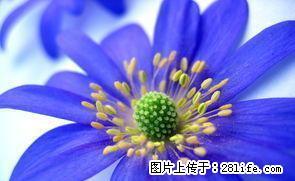 上坝路押一付一 1室1厅1卫 - 雅安28生活网 ya.28life.net