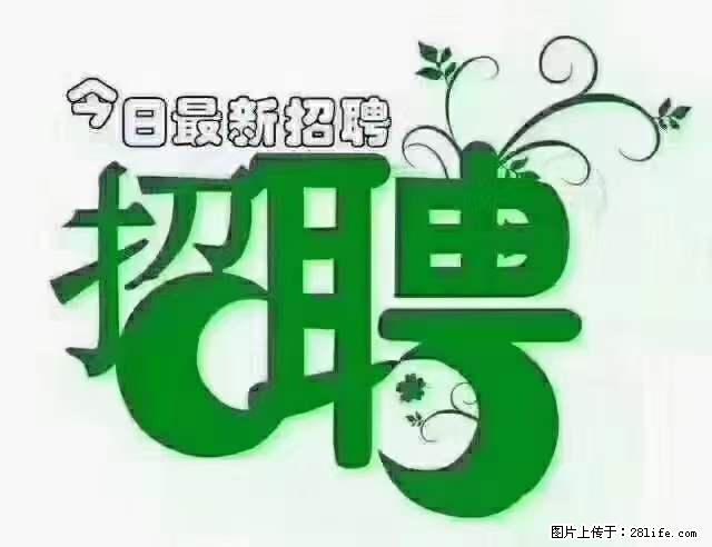 【招聘摄像师】待遇：试用期6000元/月，转正7000元/月+五险一金+餐补+节日福利+奖金 - 其他招聘信息 - 招聘求职 - 雅安分类信息 - 雅安28生活网 ya.28life.net