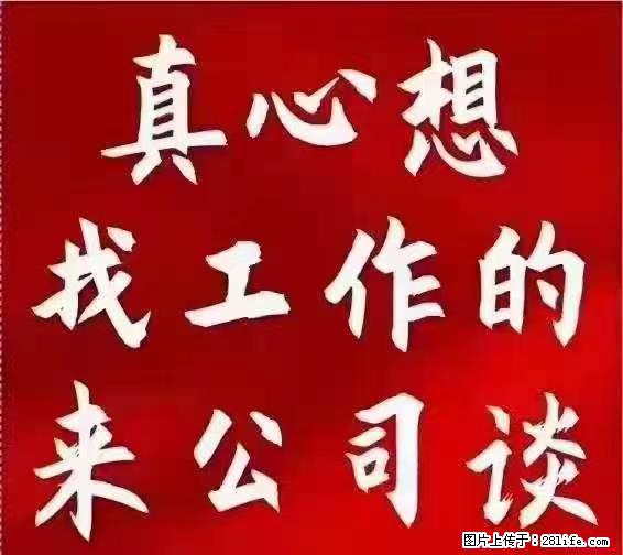 【上海】国企，医院招两名男保安，55岁以下，身高1.7米以上，无犯罪记录不良嗜好 - 职场交流 - 雅安生活社区 - 雅安28生活网 ya.28life.net