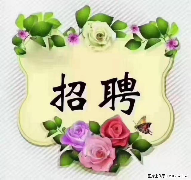 【招聘】住家育儿嫂，上户日期：4月4日，工作地址：上海 黄浦区 - 职场交流 - 雅安生活社区 - 雅安28生活网 ya.28life.net