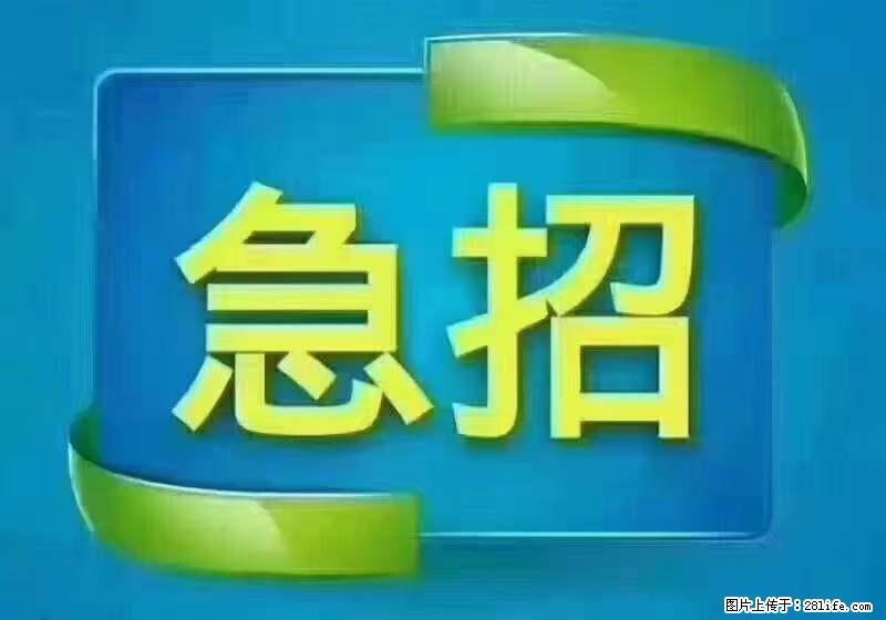 招财务，有会计证的，熟手会计1.1万底薪，上海五险一金，包住，包工作餐，做六休一 - 职场交流 - 雅安生活社区 - 雅安28生活网 ya.28life.net