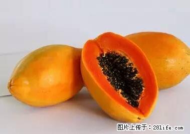 晕车、脚气、牙齿变黄、皮肤粗糙？学会这些三分钟搞定！ - 雅安生活资讯 - 雅安28生活网 ya.28life.net