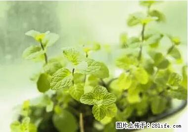 晕车、脚气、牙齿变黄、皮肤粗糙？学会这些三分钟搞定！ - 雅安生活资讯 - 雅安28生活网 ya.28life.net