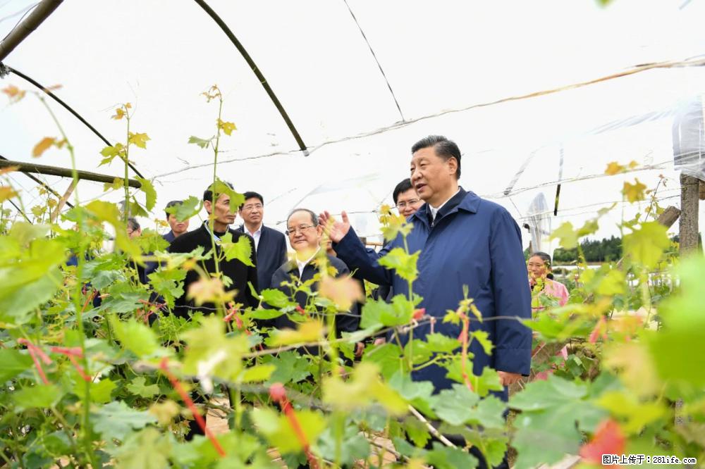 习近平赴广西考察调研 - 雅安生活资讯 - 雅安28生活网 ya.28life.net
