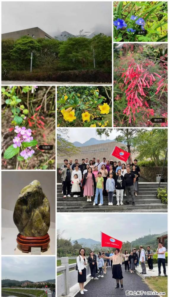 “粤灌文化 美好生活”油茶文化主题活动在广东深圳成功举办 - 雅安生活资讯 - 雅安28生活网 ya.28life.net