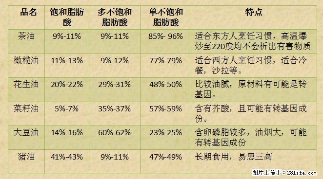 揭秘茶油的5大核心营养成分！被称为人体健康的“守护盾”！ - 雅安生活资讯 - 雅安28生活网 ya.28life.net