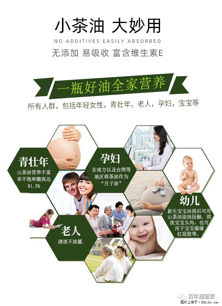 世界没有真相，只有认知，最好的食用油是中国的山茶油！ - 雅安生活资讯 - 雅安28生活网 ya.28life.net