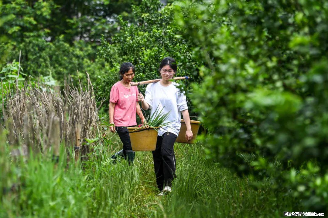 全网追的“扁担女孩”，找了一份暑假工，时薪12元 - 雅安生活资讯 - 雅安28生活网 ya.28life.net