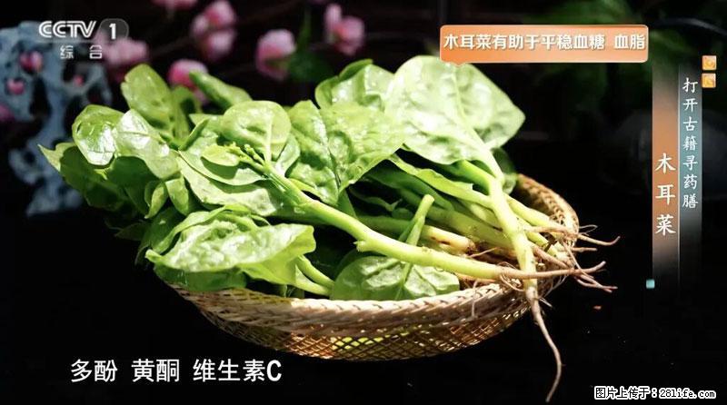 比牛奶补钙还厉害！凉血解毒、稳血糖...这菜冬天必吃，很多人却当草 - 雅安生活资讯 - 雅安28生活网 ya.28life.net